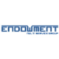 Endowment Multi Services Group logo - Similar company to Webdna Services