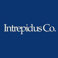 Intrepidus Co. logo - Similar company to Intrepidus Insights