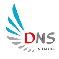 DNS Initiative logo - Similar company to Skylim Studio