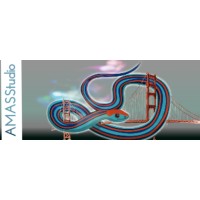 AMASStudio logo - Similar company to Johanaflo.Net