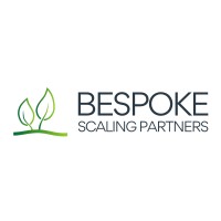 Bespoke Scaling Partners logo - Similar company to Simplyb2B