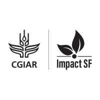 CGIAR Hub for Sustainable Finance (ImpactSF) logo - Similar company to Cgiar Accelerate For Impact Platform (A4Ip)