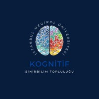 Medipol UNV Kognitif Sinirbilim Topluluğu logo - Similar company to Sinirbilim Topluluğu