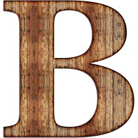 Bhagwati Art & Exports logo - Similar company to Global Agro
