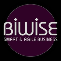 Biwise Consulting logo - Similar company to Biwise Ltda