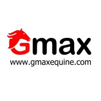 Gmax Technology Ltd logo - Similar company to Theskillgarage