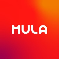 Mula-X logo - Similar company to Developnow