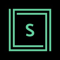 S Sage Merchandising Strategies Llc