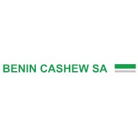 Benin Cashew SA logo - Similar company to Infinity Cashews