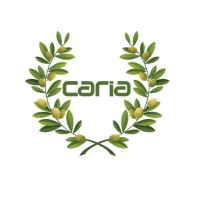 Caria Digital Technologies logo - Similar company to Elentech