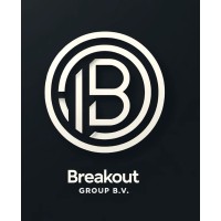 Breakout Group B.V. logo - Similar company to 101 Интернет