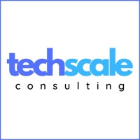 Techscale Consulting Ltd logo - Similar company to Imbu Bv