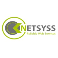 Netsyss logo - Similar company to Loopenval Advisors