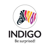 INDIGO Paints Limited logo - Similar company to Esdee Paints Ltd