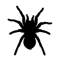 Casatarantula logo - Similar company to Vaivén Films