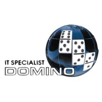 DOMINO S.R.L. logo - Similar company to Maesys S.R.L.