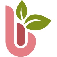 Burdock logo - Similar company to Fapsco