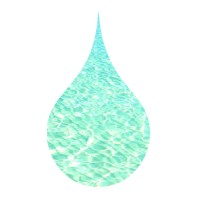 Be Well Society logo - Similar company to Ad Caelia
