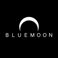 Blue Moon Virtual logo - Similar company to A4Vr Gmbh - Agency For Virtual Reality
