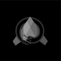 Boros Laboratories logo - Similar company to Mdtablet