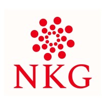 NKG Consulting logo - Similar company to The Digitify