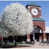 Christian County Jail