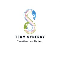 Team Synergy logo - Similar company to Pixorize