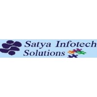Satya Infotech Solutions logo - Similar company to Solvely
