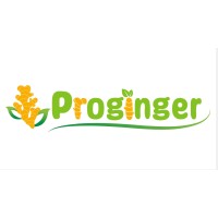 PROGINGER logo - Similar company to Vancard Peru Sac