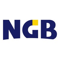 NGB Corporation logo - Similar company to Infinity Online Solutions