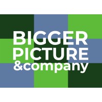 Bigger Picture &company logo - Similar company to Rbi-Solutions