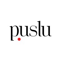 PUSLU YAYINCILIK logo - Similar company to Comparative Research Network E.V.