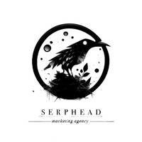Serphead logo - Similar company to Acquire.Fi