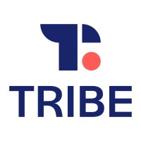 TRIBE Development logo - Similar company to Tribe Development