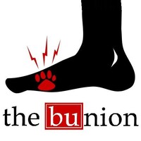 The Bunion logo - Similar company to Wtbu News