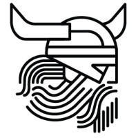 Viking Consultancy logo - Similar company to Viking Consulting