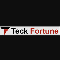 TeckFortune Inc logo - Similar company to Sforce Infotech Inc