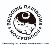 Bridging Rainbows Foundation logo - Similar company to Verditran