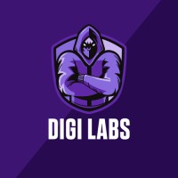 Digi Labs logo - Similar company to Data Cube