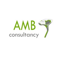 AMB Consulting logo - Similar company to Amb Consulting Group, Llc