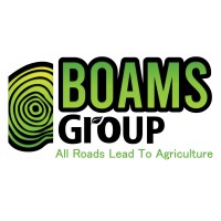 BOAMS Group