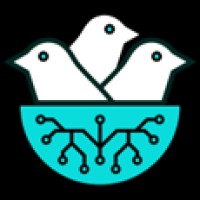 The CyberNest logo - Similar company to Ciso Execnet