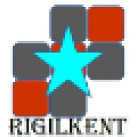 Rigilkent Softech Pvt Ltd. logo - Similar company to Shuk Global Private Limited