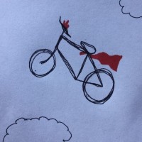 Bike Rescue