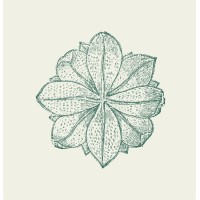 Pollen Advisory (Acquired by R. Agency) logo - Similar company to Bramble Partners