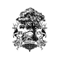 Broken Oak Security logo - Similar company to Seedsitech