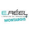 ereel montargis logo - Similar company to Asmi Montargis - Orléans