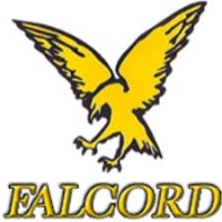 Falcord Group srl logo - Similar company to Esaom Cesa