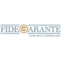 Fidegarante logo - Similar company to Exportaciones Textiles Mexicanas