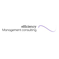 Efficiency - Management consulting logo - Similar company to Prodigy Solutions